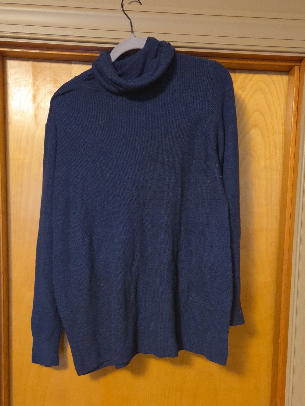 Universal Standard Turtleneck Sweater